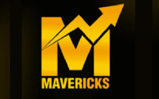 THE MARKETING MAVERICKS