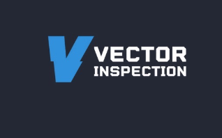 Vector Inspection