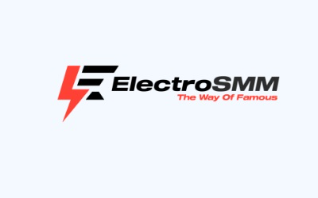 ElectroSMM